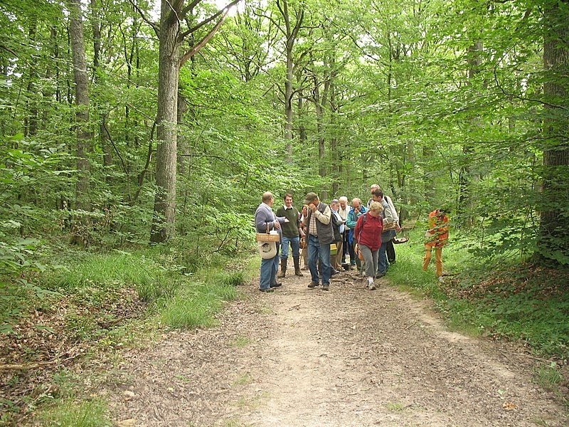 Myco Porte Baudet 04